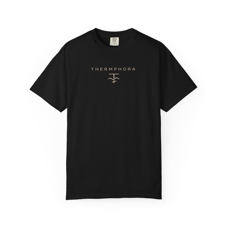 Camiseta Oversize THPH